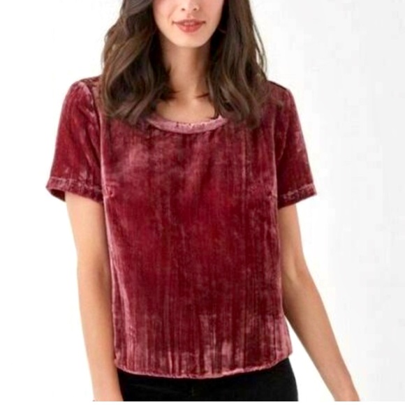 Splendid Tops - Splendid Women's Velvet Short Sleeve Tee Ruby